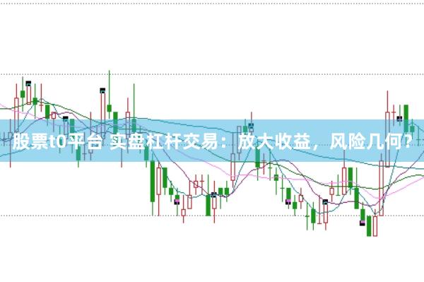 股票t0平台 实盘杠杆交易：放大收益，风险几何？