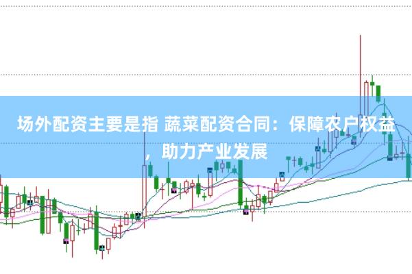 场外配资主要是指 蔬菜配资合同：保障农户权益，助力产业发展