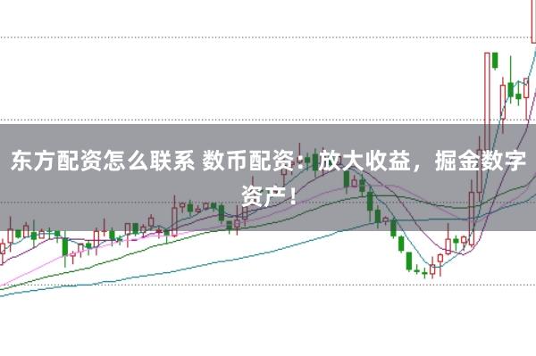 东方配资怎么联系 数币配资：放大收益，掘金数字资产！