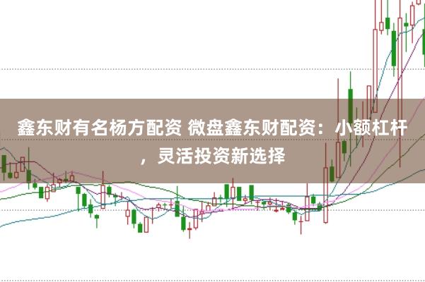 鑫东财有名杨方配资 微盘鑫东财配资：小额杠杆，灵活投资新选择