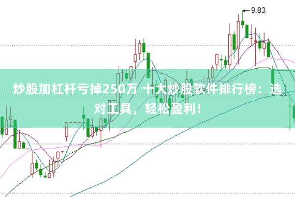 炒股加杠杆亏掉250万 十大炒股软件排行榜：选对工具，轻松盈利！