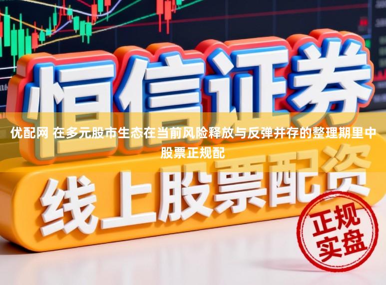 优配网 在多元股市生态在当前风险释放与反弹并存的整理期里中股票正规配