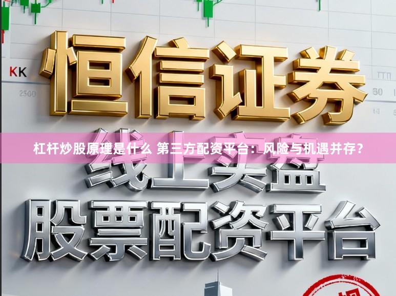 杠杆炒股原理是什么 第三方配资平台：风险与机遇并存？